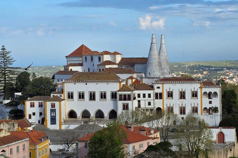 Half-Day Sintra Pena and Regaleira palace with small group Half-Day Sintra Pena and Regaleira Small Group