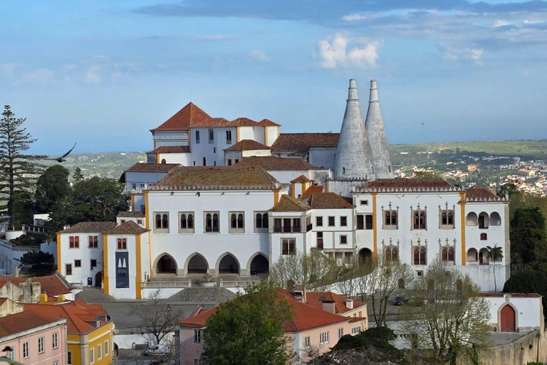 Half-Day Sintra Pena and Regaleira palace with small group Half-Day Sintra Pena and Regaleira Small Group