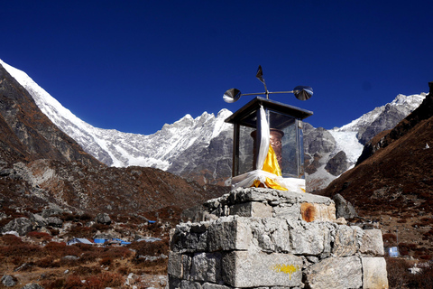 Trek dans la vallée du Langtang