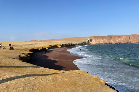 VANUIT LIMA: HELE DAG PARACAS - ICA