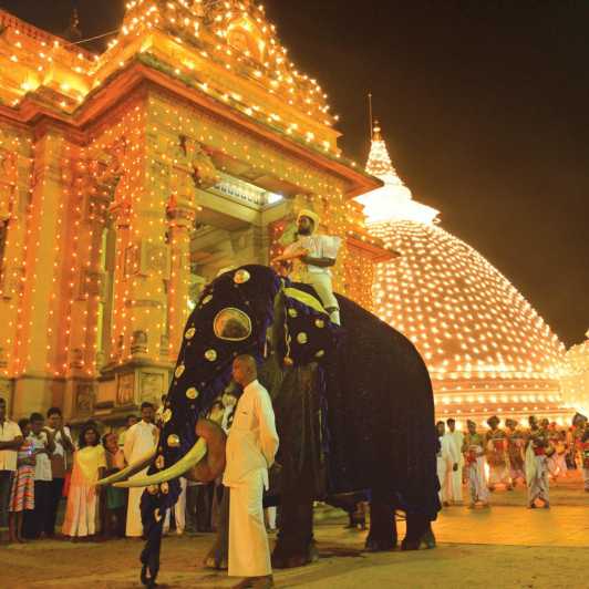 Colombo Haven Excursies Colombo Stad & Kalaniya Tempel