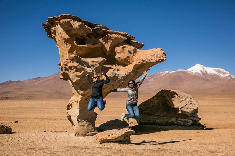 San Pedro de Atacama : excursion de 4 jours dans les salines d&#039;Uyuni