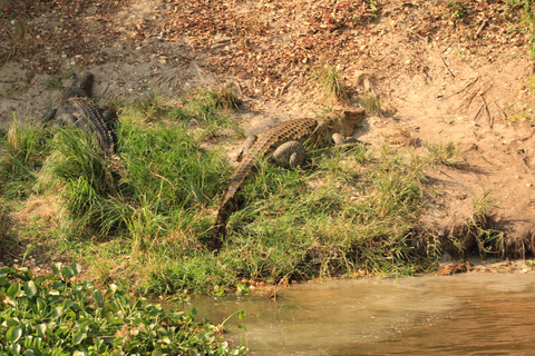 Uganda: 9-dniowy obwód góry Rwenzori i Park Narodowy Królowej Elżbiety