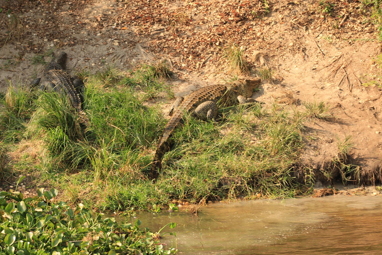 Uganda: 9 Tage Mt. Rwenzori Rundweg und Queen Elizabeth NP