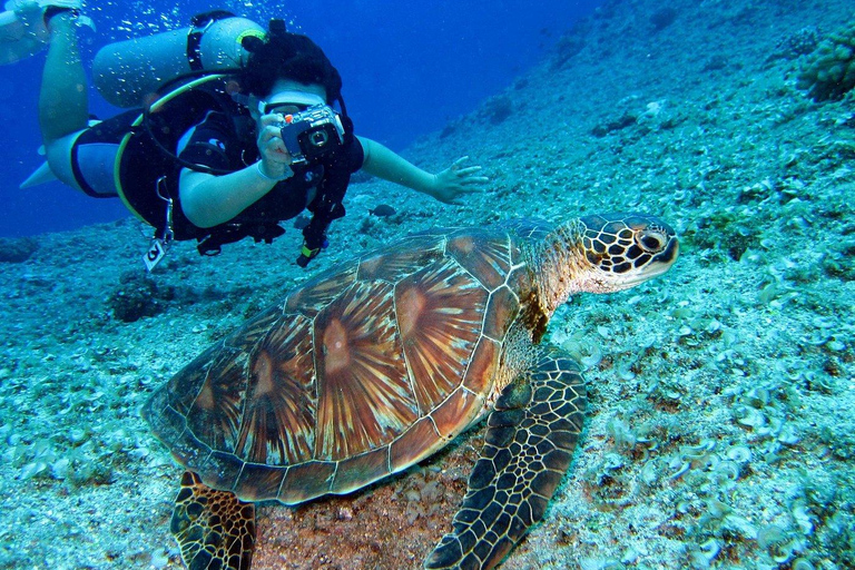 Pattaya: Snorkeling ou mergulho para iniciantes com almoçoPattaya: Experimente o mergulho SCUBA DIVING Experiência de dia inteiro com 2 mergulhos