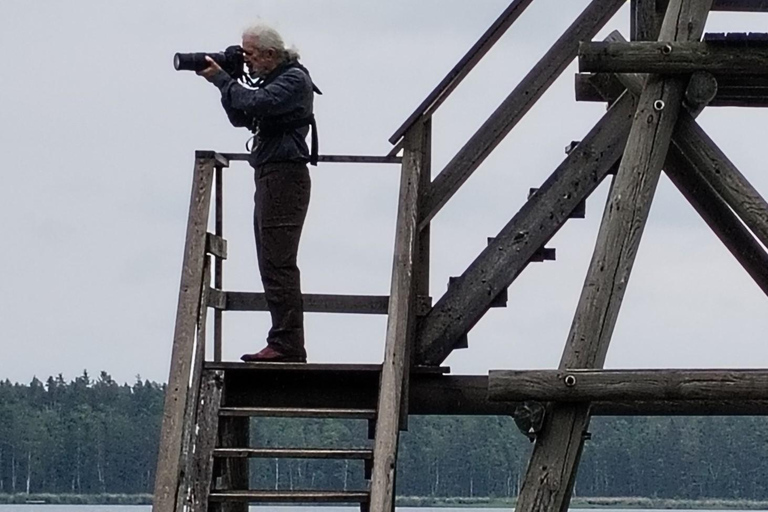 Bird Watching tour in Natural Park near Riga (Latvia)