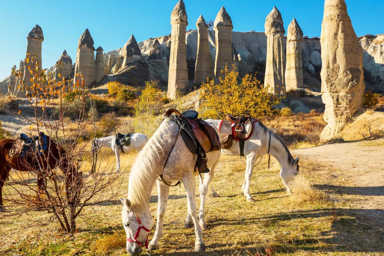 Capadocia: Paseos a caballo - Tierra de hermosos caballosCapadocia: Paseo a caballo - Tierra de hermosos caballos