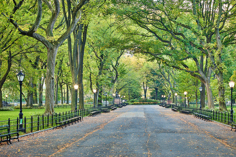 NYC: Central Park Highlights Guided Tour Shared Group Tour