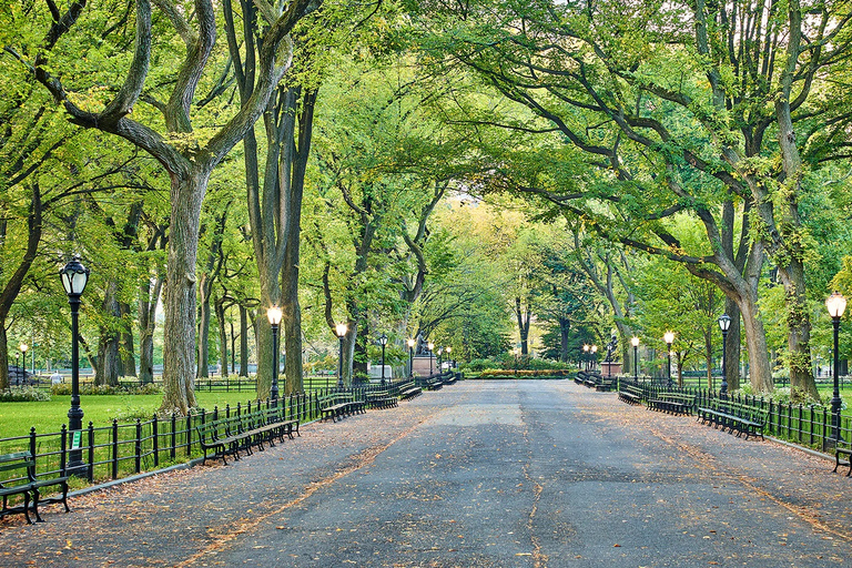 NYC: Central Park Highlights Guided Tour Shared Group Tour