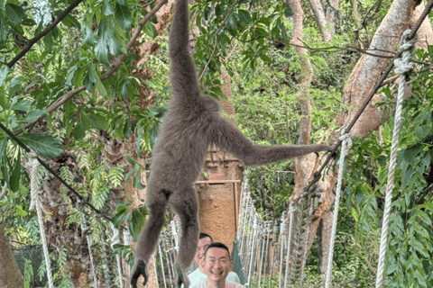 Kota Kinabalu: 4-Day Tour, Nature, River and City