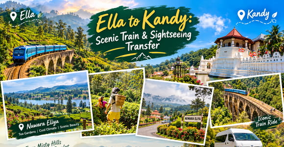 Ella to Kandy: Scenic Train & Sightseeing Transfer