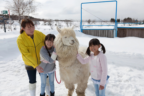 Hida: Snow Playground & Illuminated Gassho Village Day Trip