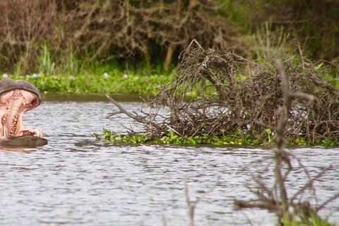 Dagtocht naar Lake Naivasha en Hells Gate ParkDagtocht naar Lake Naivasha en Hells Gate Park.