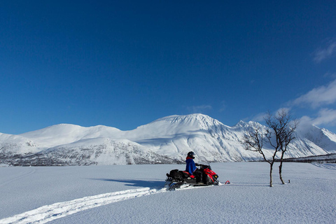 Tromsø: Lyngen Alps Snowmobile Adventure with Lunch