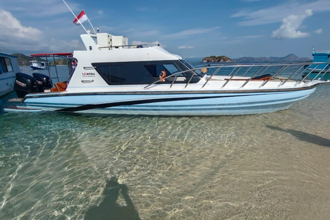 Labuan Bajo: Komodo Islands Speedboat Day Trip with Pickup Komodo Islands Speedboat Day Trip with Pickup