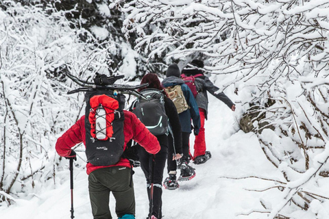 Toronto: Winter Hike to Rattlesnake Point and Crawford Lake