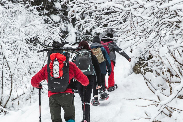 Winterwanderung zum Rattlesnake Point RV-Motorhome Tour