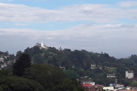 De Kandy a Kitulgala: Emocionante excursión de un día en balsa con Indika