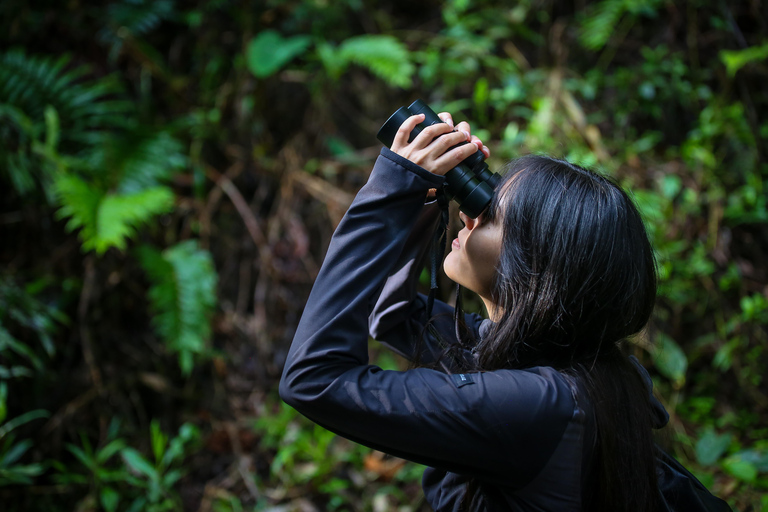 Birding Medellin z ekspertem obserwującym ptaki (prywatnie)