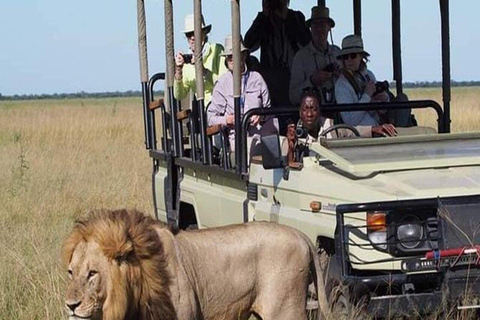 Safari 3-Days from Zanzibar to Mikumi National Park by ferry Come to meeting point "Dar es Salaam SGR station"