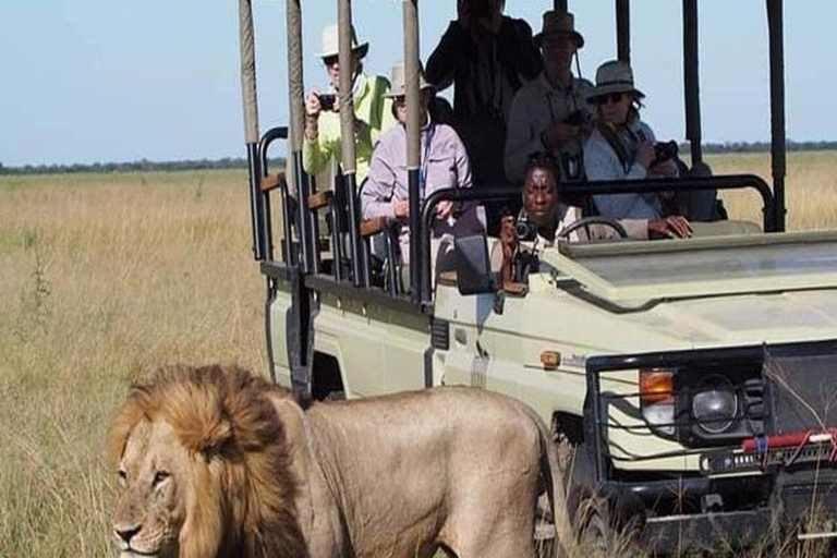 Safari 3-Days from Zanzibar to Mikumi National Park by ferry Come to meeting point "Dar es Salaam SGR station"