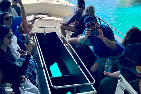 Zakynthos: Ultimate Experience to Shipwreck, Caves & Turtles Shipwreck and Turtles: Semi private tour