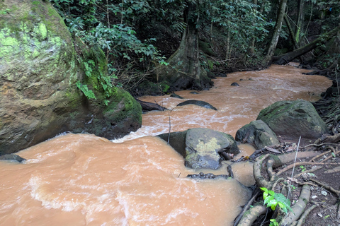Karura Forest walking tour with nature and waterfalls.