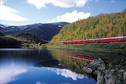 Oslo: 7-Day Bergen and Stavanger with Pulpit Rock Cruise