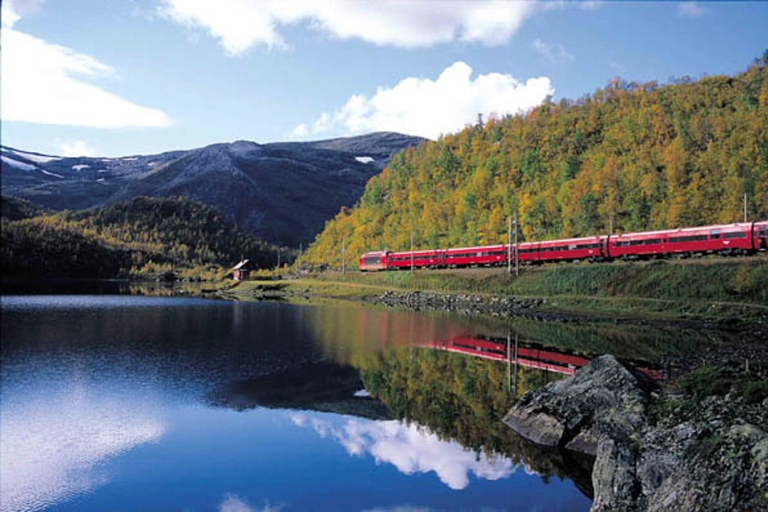 Oslo: 7-Day Bergen and Stavanger with Pulpit Rock Cruise