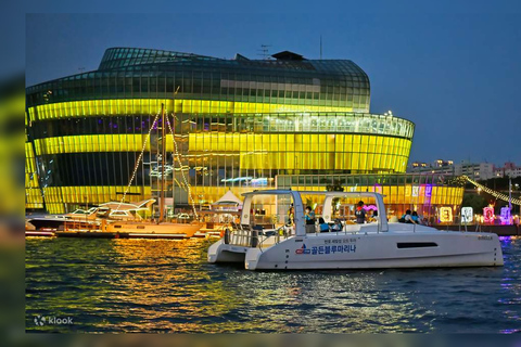 Seoul: Moon Balloon,NightLife, Han River & Banpo Bridge Tour Seoul: Moon Balloon, Han River & Banpo Bridge Private Tour