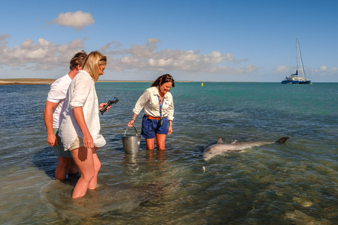 Perth: 8-Day Exmouth Tour with Ningaloo Reef Comfort Tour Twin Share Room (Adults only)