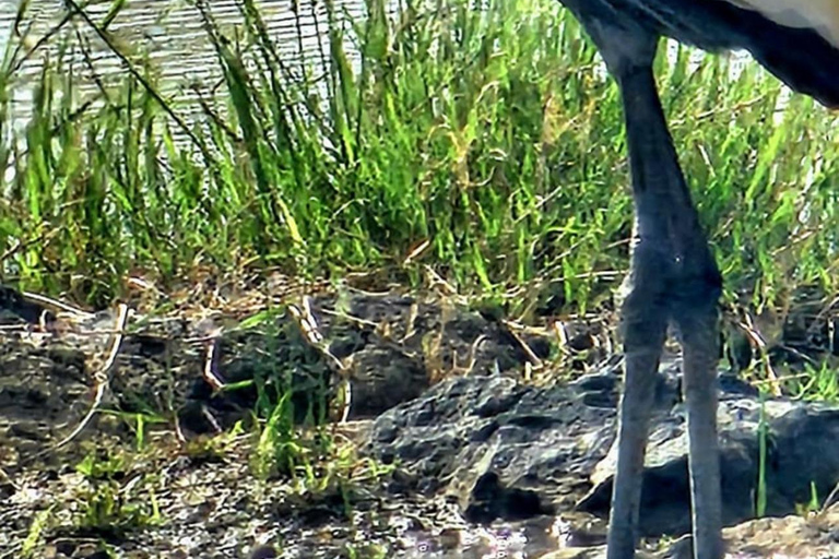 Nairobi National Park Guided Game Drive