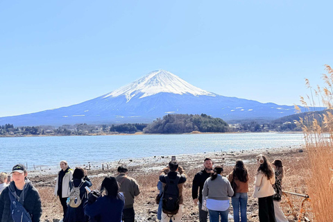 From Tokyo : Mount Fuji Private Day Trip with Hotel Pickup Mount Fuji & Hakone Customize Tour With English Guide