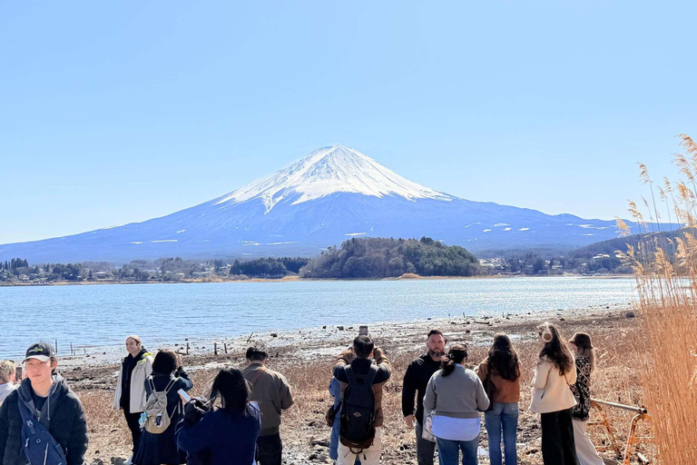 From Tokyo : Mount Fuji Private Day Trip with Hotel Pickup Mount Fuji & Hakone Customize Tour With English Guide
