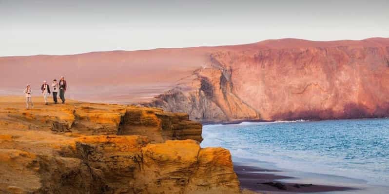 Galería de fotos para redes