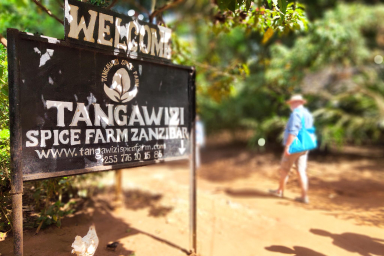 Zanzibar: Ilha de Mnemba e excursão à fazenda de especiarias, Jozani, The Rock