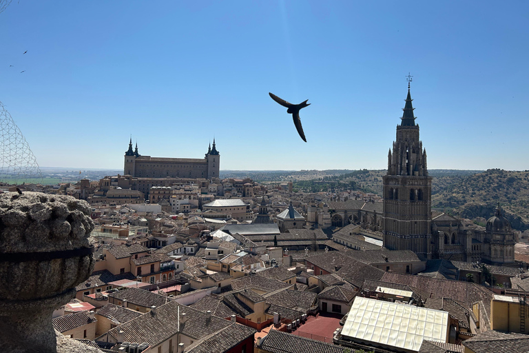 Historic Toledo: Cathedral and Museums in groups of maximum 10 people.