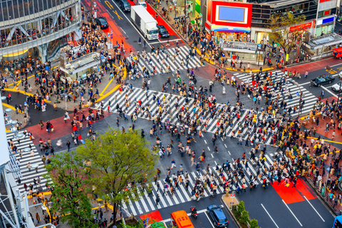 Tokyo : Visite privée exclusive avec chauffeur parlant anglaisVoiture standard 4 pax