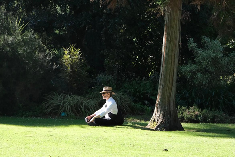 Christchurch: 90-Minute Botanic Gardens Guided Walking Tour