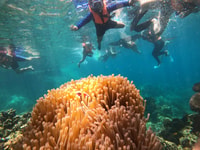 Ko People, Snorkeling Tour a Hidden Bays y Ng Yuan Island - Housity