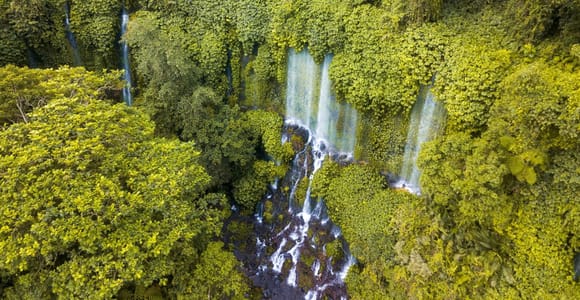 Lombok: Local Village, Rice Terrace, Rainforest & Waterfalls