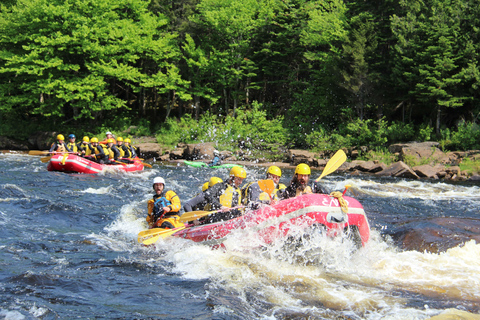 Rafting w Quebecu: półdniowa wycieczka pełna wrażeń!Quebec: Półdniowa wycieczka i moc wrażeń podczas spływu raftingowego!