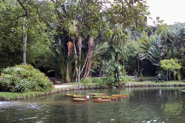 Tropical Wonders: Discover Rio's Jardim Botânico & Tijuca