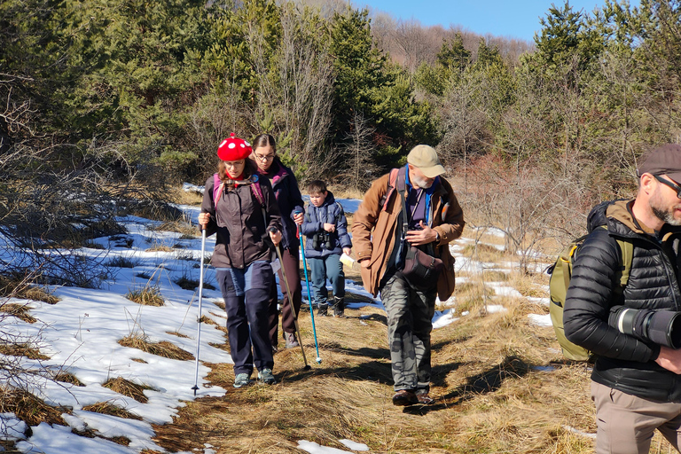 From Sofia: Wildlife Tracking & Search Science Expedition