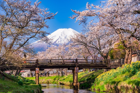 Tokyo: Mount Fuji Day Tour, Oshino Hakkai, Lake Kawaguchi Lunch Excluded | 8:30 AM from Shinjuku Station