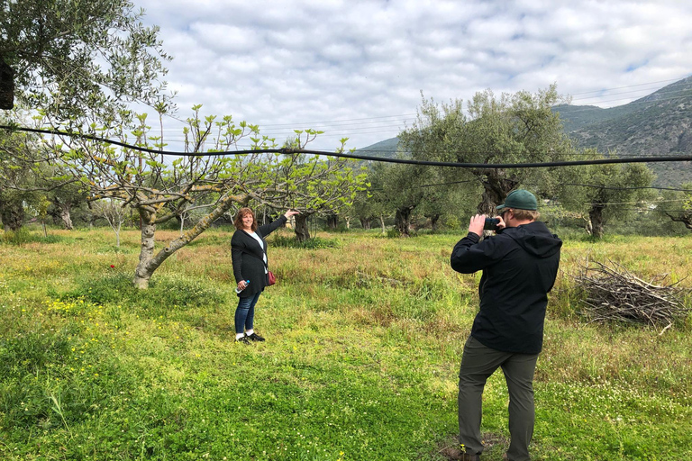 Visite et dégustation d&#039;huile d&#039;olive à Kalamata, Messénie, Grèce