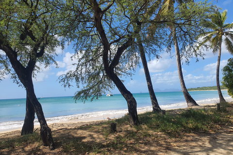 Beach tour and visit to a rum distillery in Le Marin