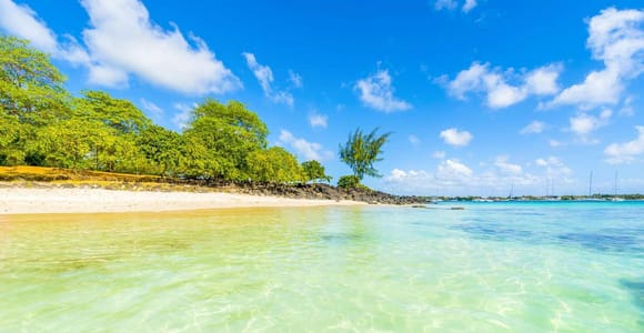 Grand Baie Exclusive Street Food Tour & Sightseeing