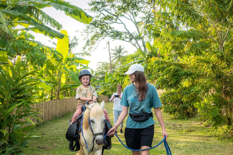 Phuket Beach Horseback Adventure Horse Riding 8:30 AM