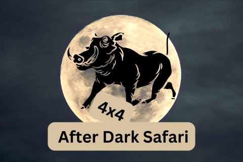 Victoria Falls: After Dark Safari arounf Vic Falls in 4x4 Private 4x4 After Dark Safari